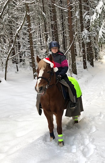Velkommen til juleshow!